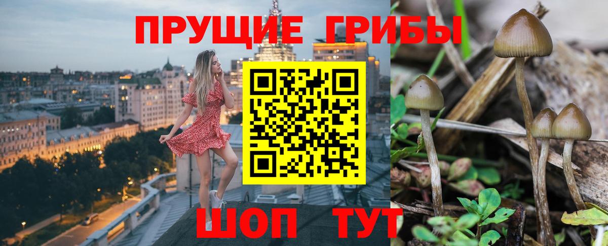 Галлюциногенные грибы Cubensis  Вход с VPN  Галлюциногенные грибы Psilocybe  Белебей 